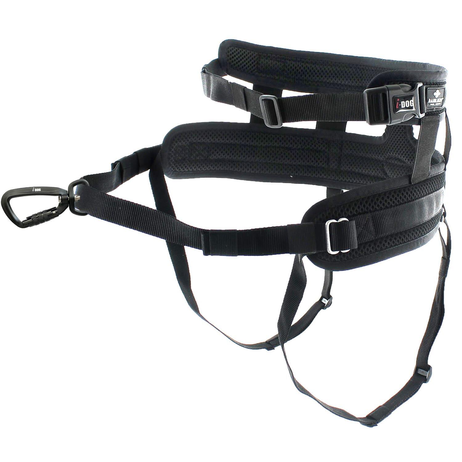 Baudrier ceinture RAIDLIGHT canicross,randonnée, trail courir avec son chien