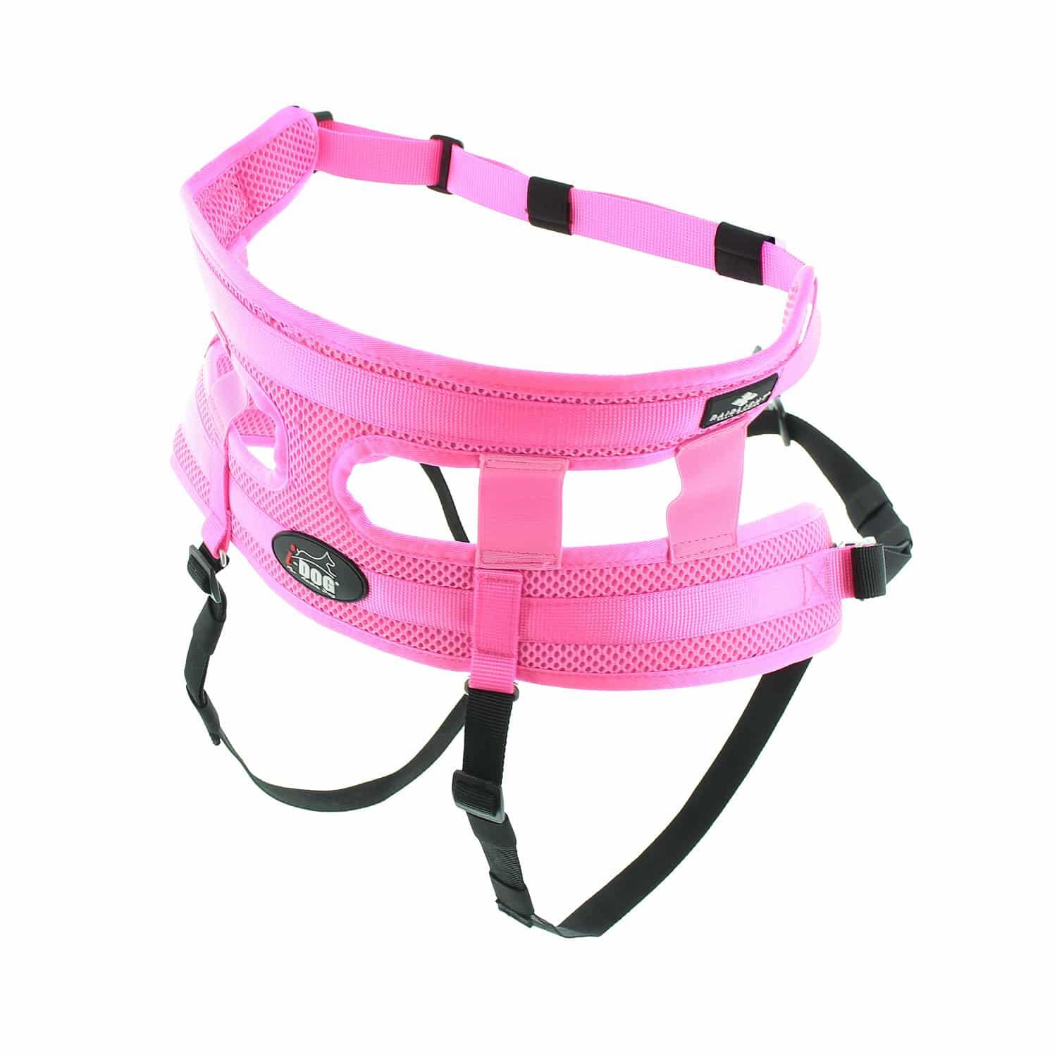 Hundegeschirr I-DOG Canicross Raidlight 2/7
