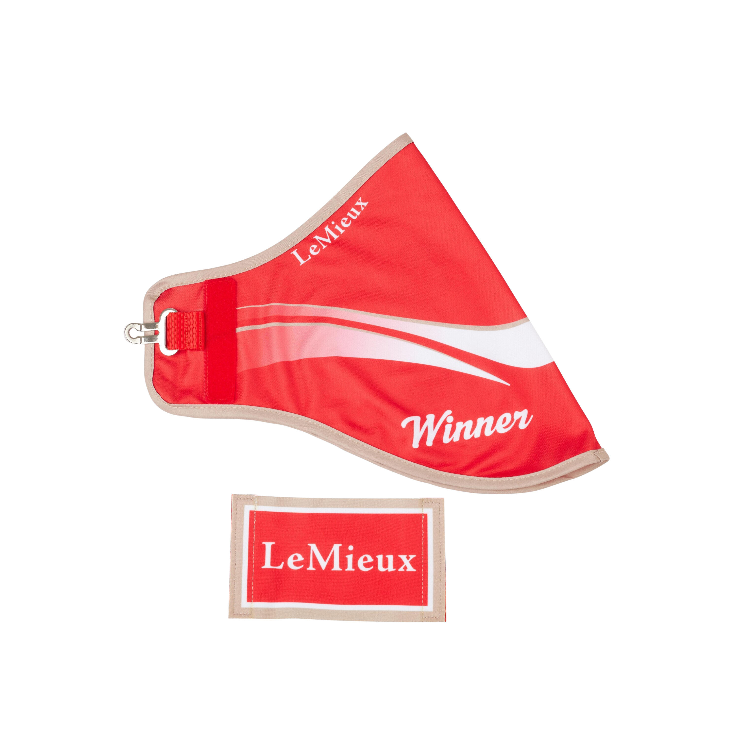 LEMIEUX picture