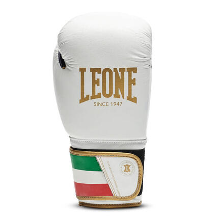 Boxhandschuhe Leone Italy