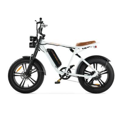 Engwe M20 E-bike 250Watt motor power top speed 25 km/h 20-inch tires