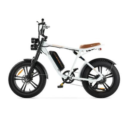 Engwe M20 E-bike avec un moteur de 250 Watts, vitesse maximale de 25 km/h