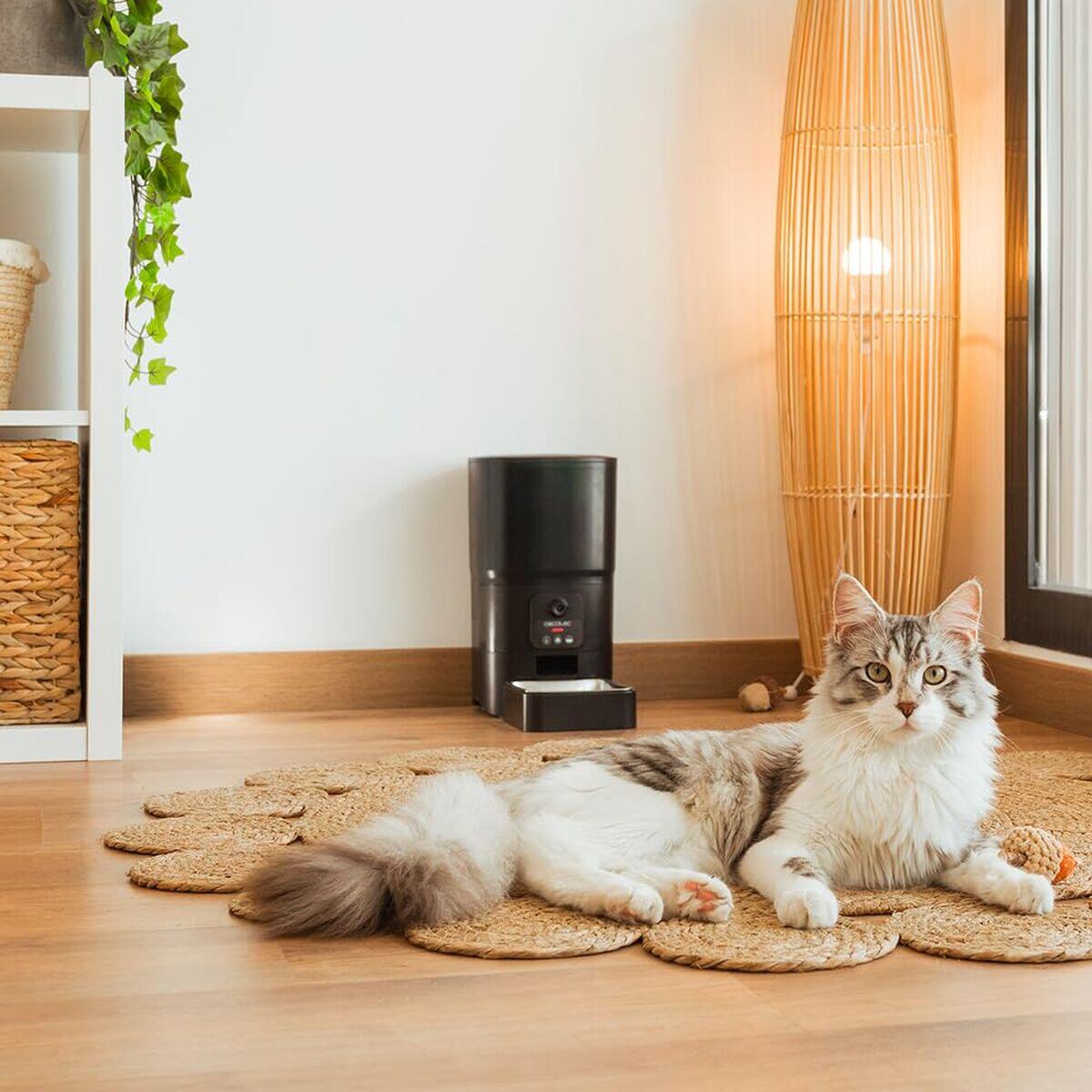 Automatická krmička CECOTEC Pumba 6000 Purrfect Meal Smart Vision 5/5