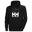 Mikina Helly Hansen Core Graphic