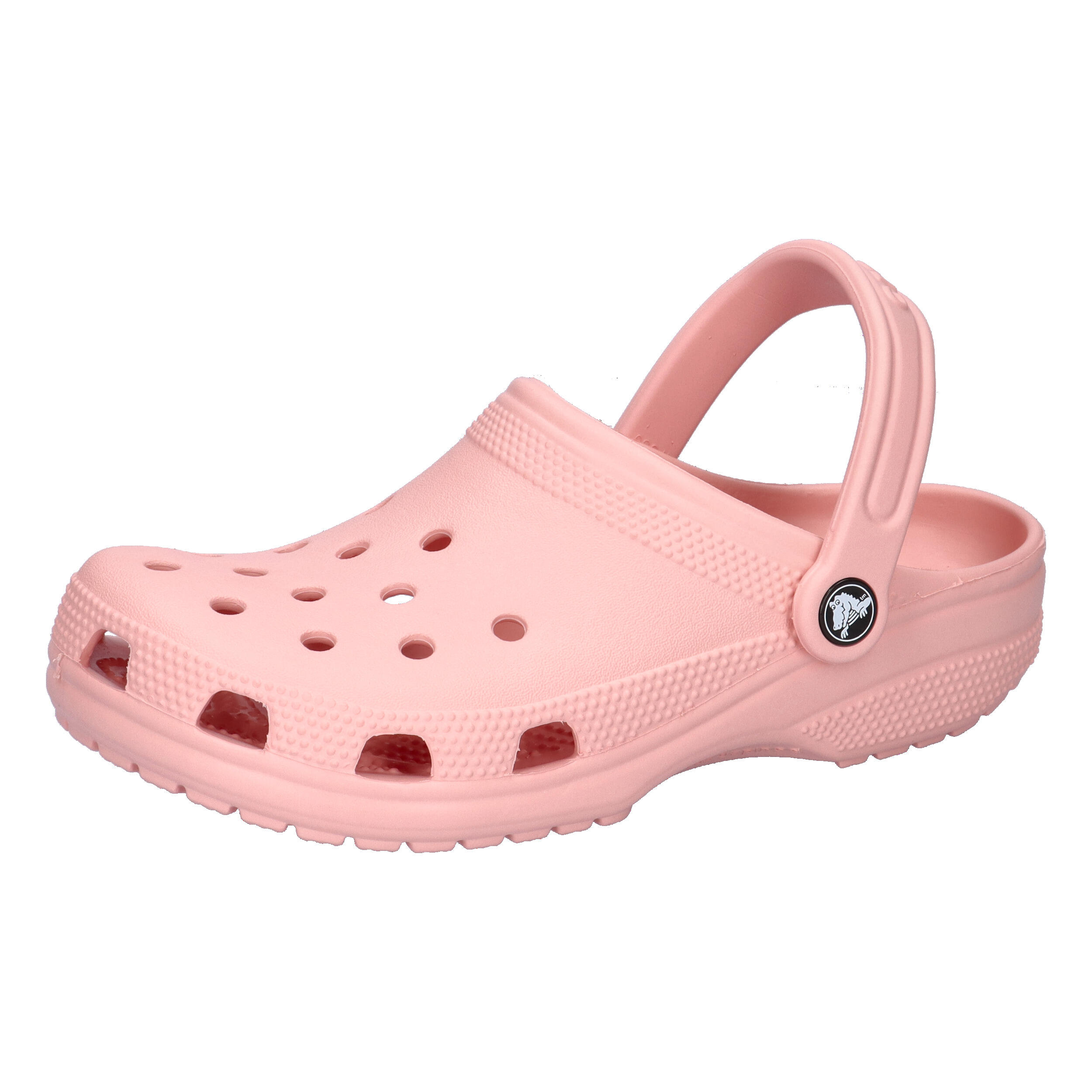 CROCS picture