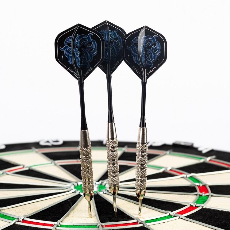 Steeldart Steel Dart Pfeile Keltik Fintan 25 g 7/7