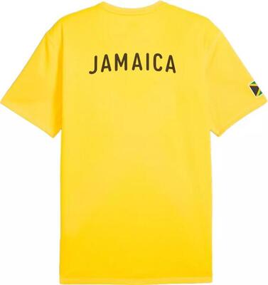 Heren t‑shirt puma flag tee m po jamaica