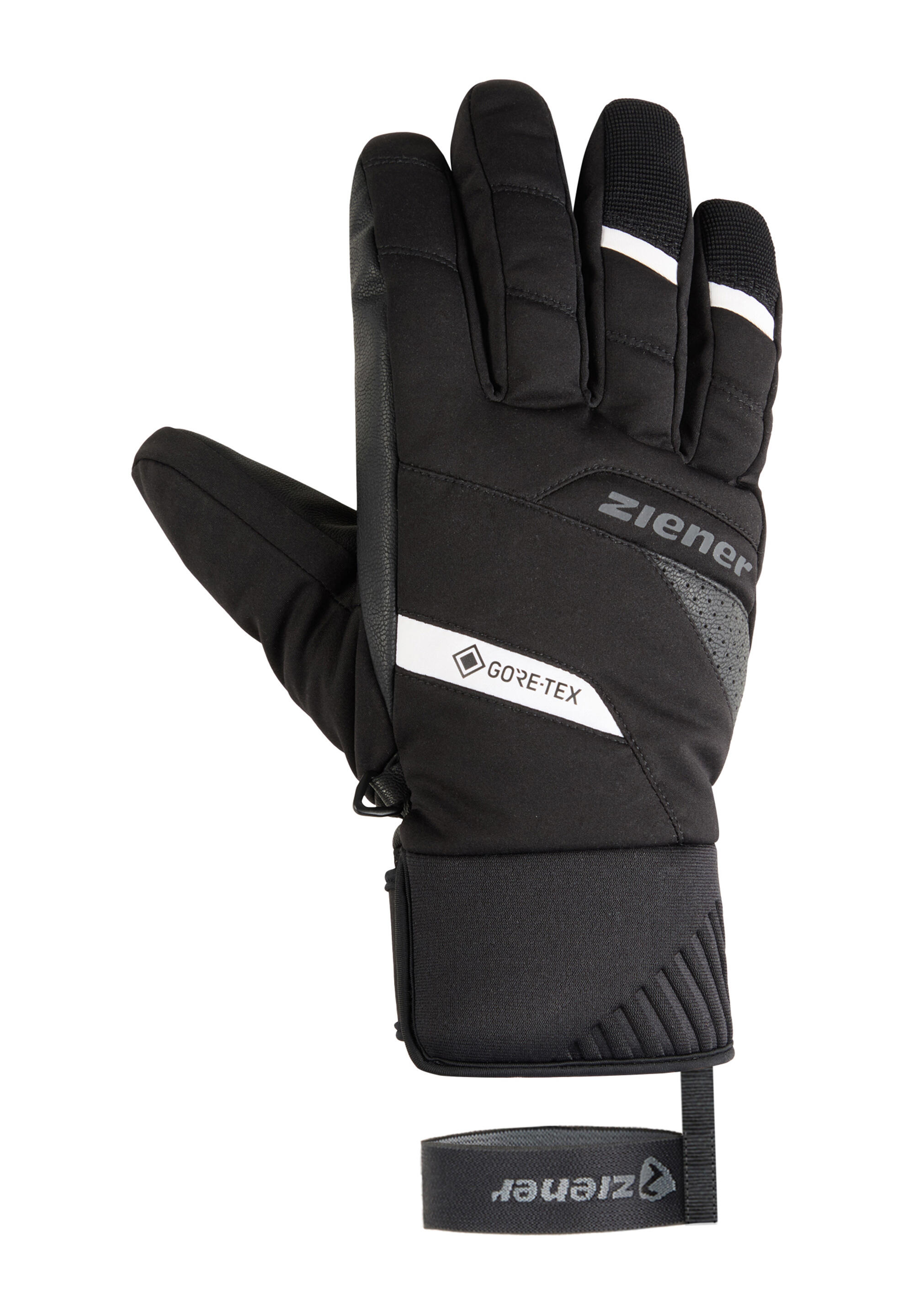 Skihandschuhe GOKONI-Z GTX PR schwarz 2/3
