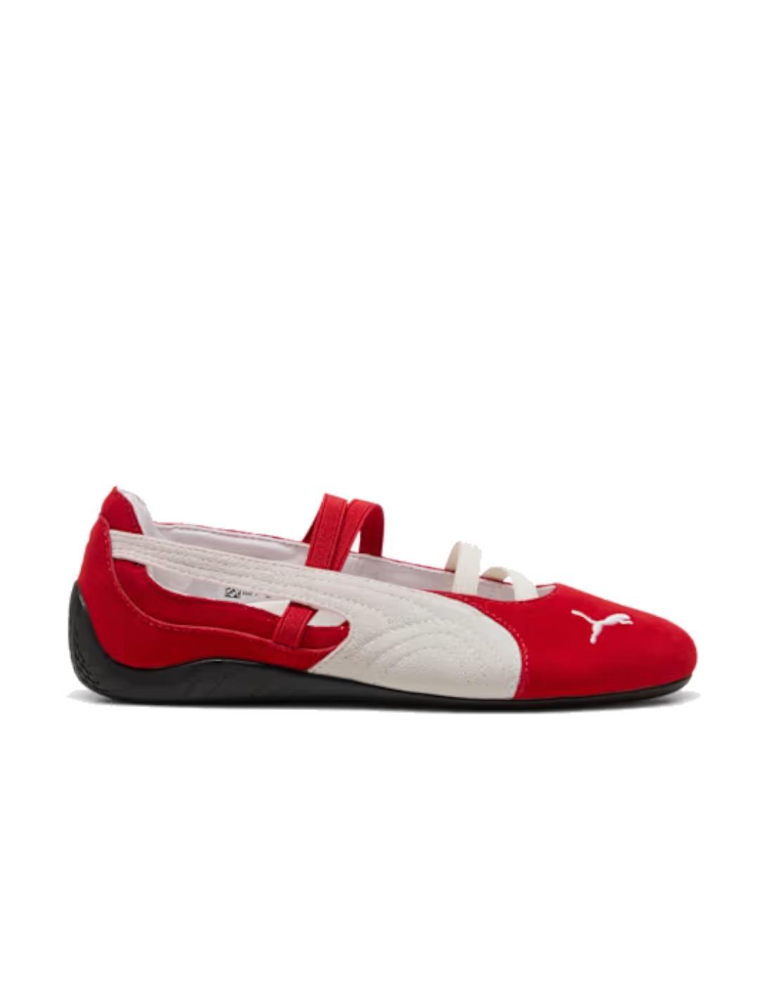 PUMA picture