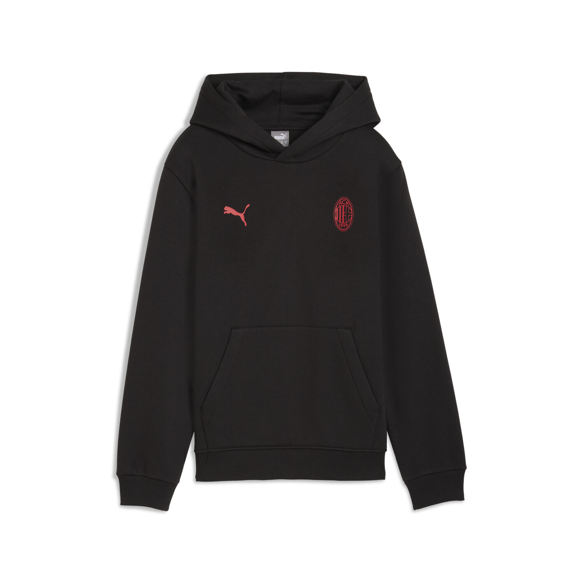 PUMA picture
