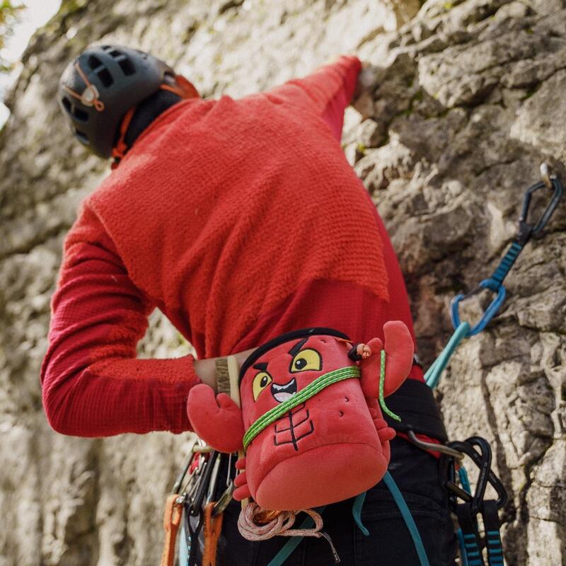 Săculeț magneziu Lobster