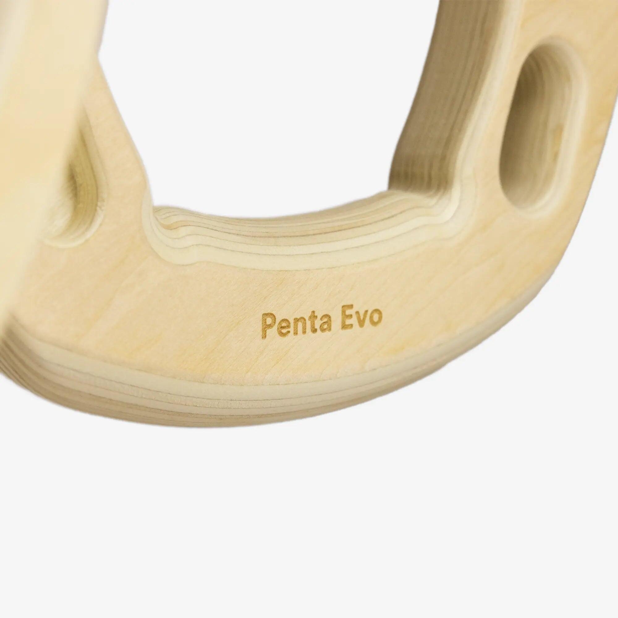 Penta EVO – Système d’entraînement mobile 7 prises et rotation 360° 4/7