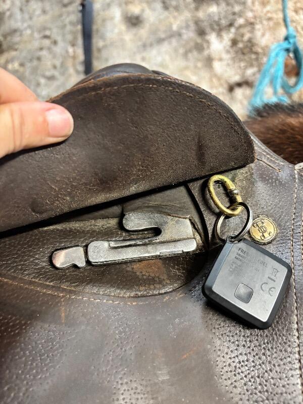 Entre Particuliers - Selle TdeT 16.5p 6/7