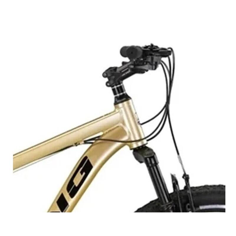 BICICLETA MTB UMIT 29" KING ALM. T18 Oro 2/3