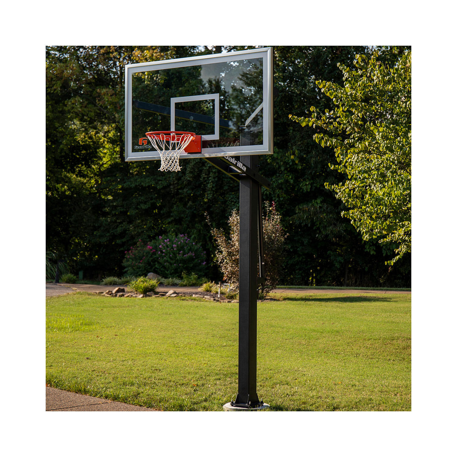 Cesto de basquetebol Goalrilla GS54C 2/5