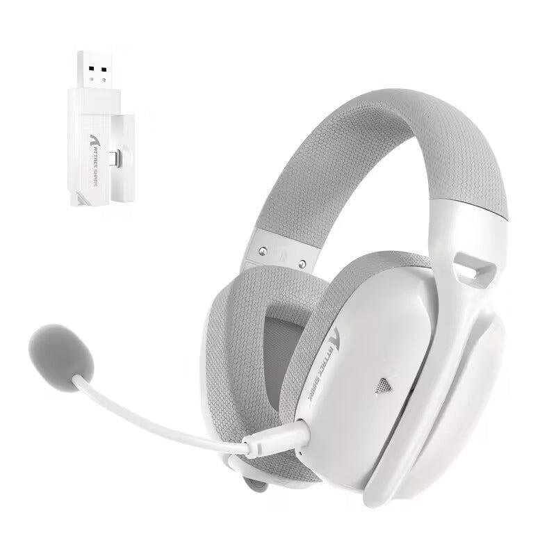 NNETM Wireless Over-Ear Gaming Headset with Dual Mic