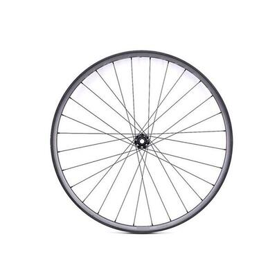 Voorwiel lapierre 6t boost tlr