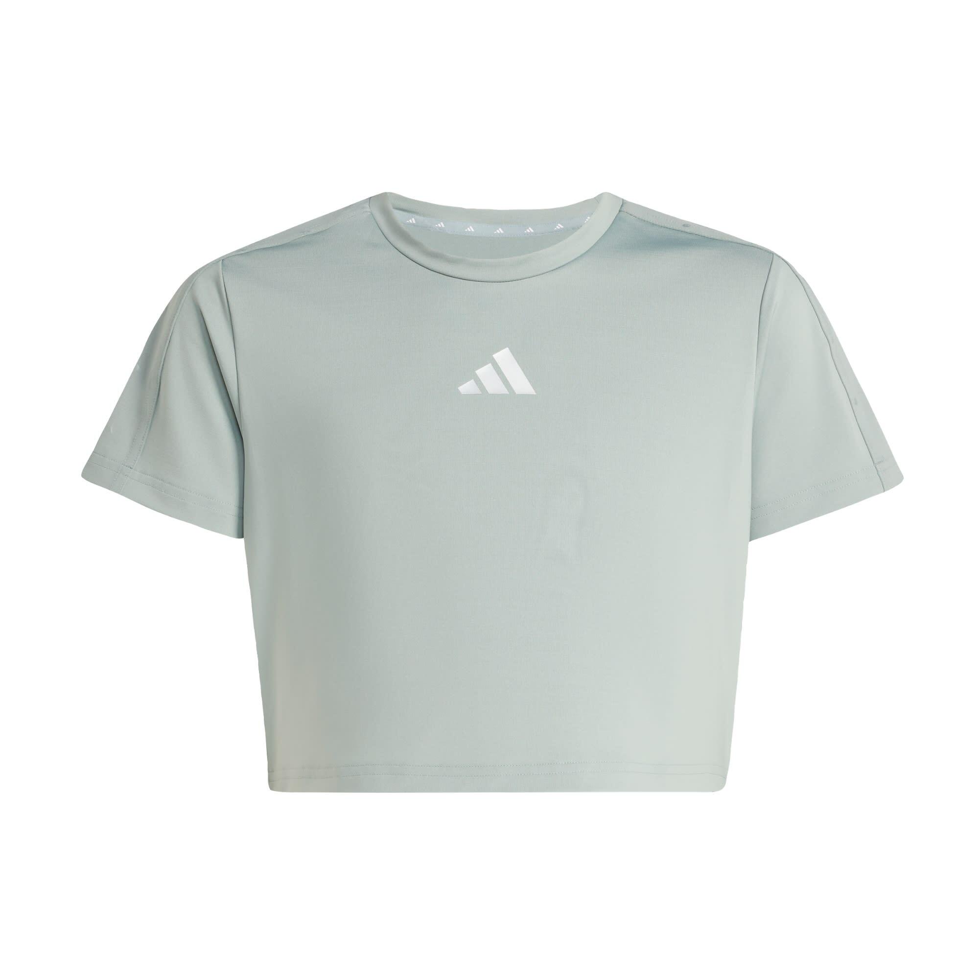 ADIDAS Train Essentials T-shirt Seasonal Print