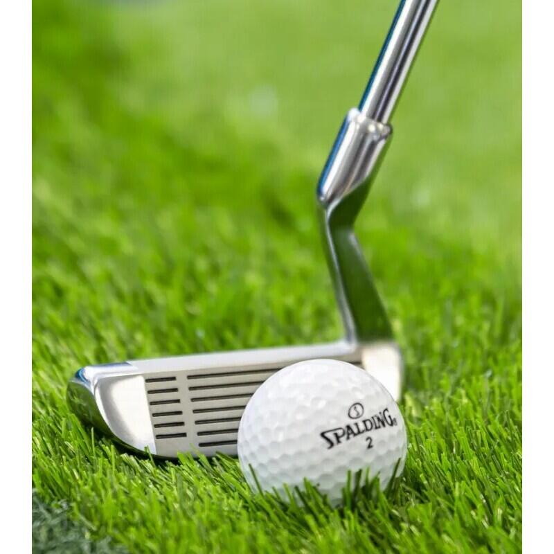 Putter Longridge Two Way Chipper 3/3