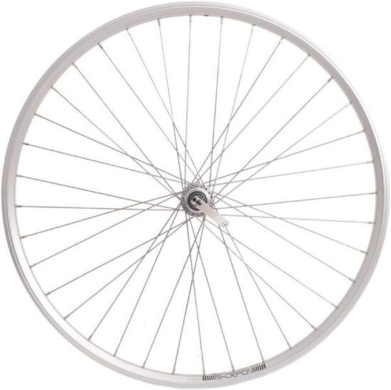 Ruota posteriore Rodi 28 (622x19) Skorpion FM32 36H 8/9v argento.