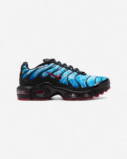 Nike Air Max Plus Shark Attack (GS)