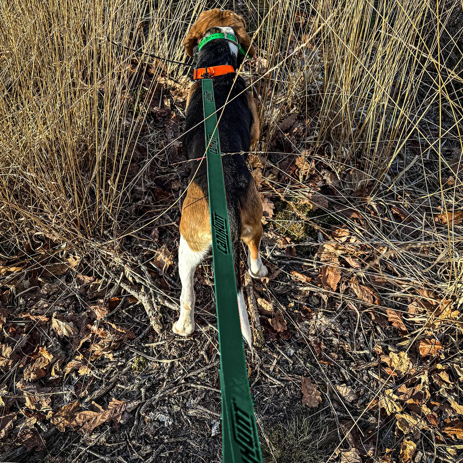 Laisse simple HUNTER FIRST 120cm vert 5/5