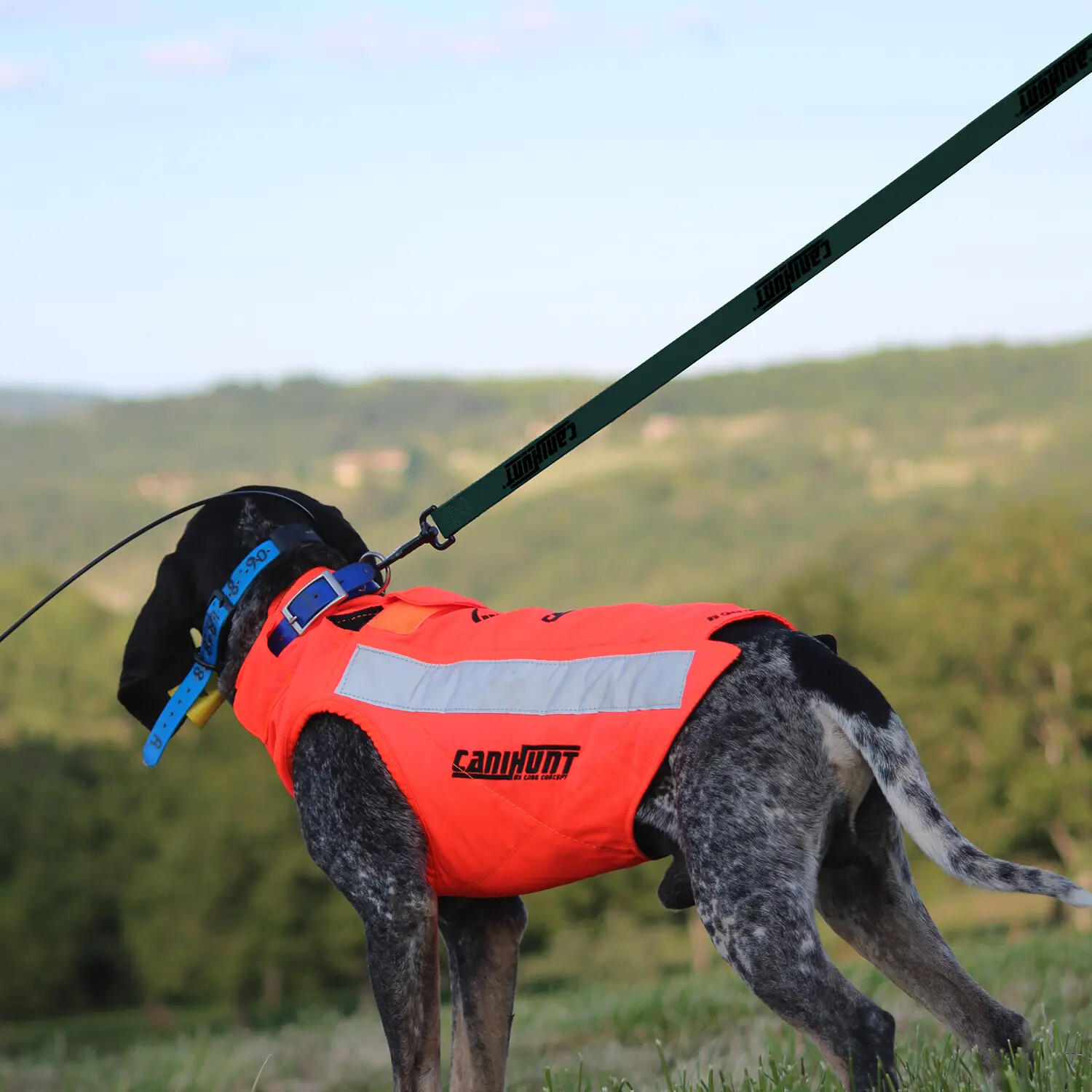 Laisse simple HUNTER FIRST 120cm vert 2/5