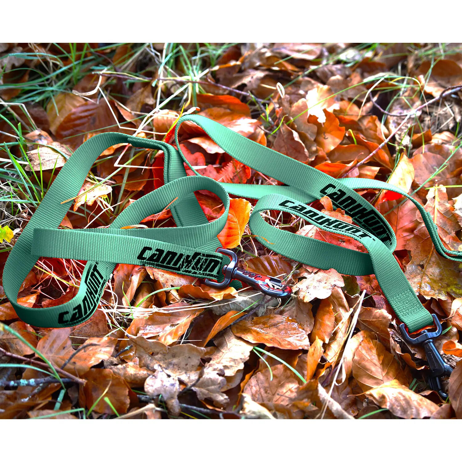 Laisse simple HUNTER FIRST 120cm vert 4/5