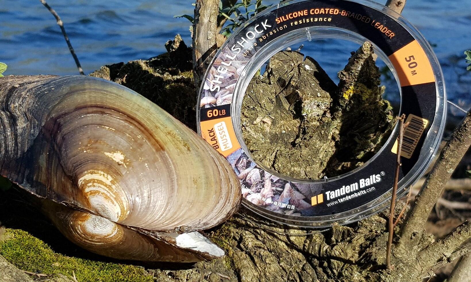 Strzałówka ShellShock Braided Leaders 60Ib / 50 m Czarny małż