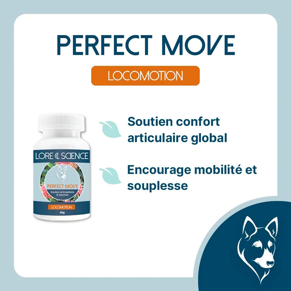 Santé articulaire Perfect Move Lore & Science 60g 2/4