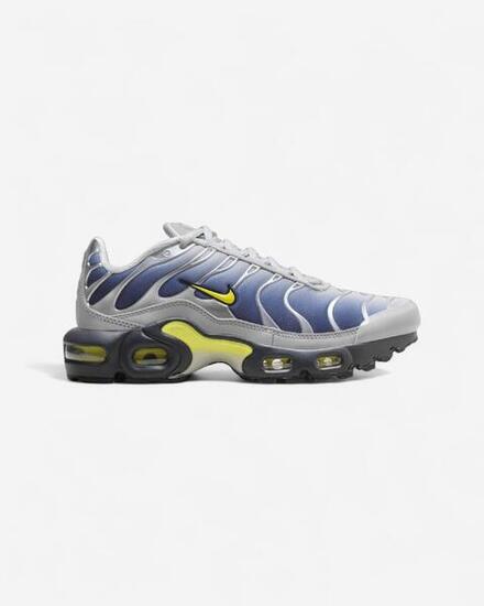 Nike Air Max Plus Obsidian Silver (GS)