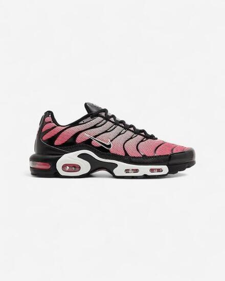 Nike Air Max Plus All Day