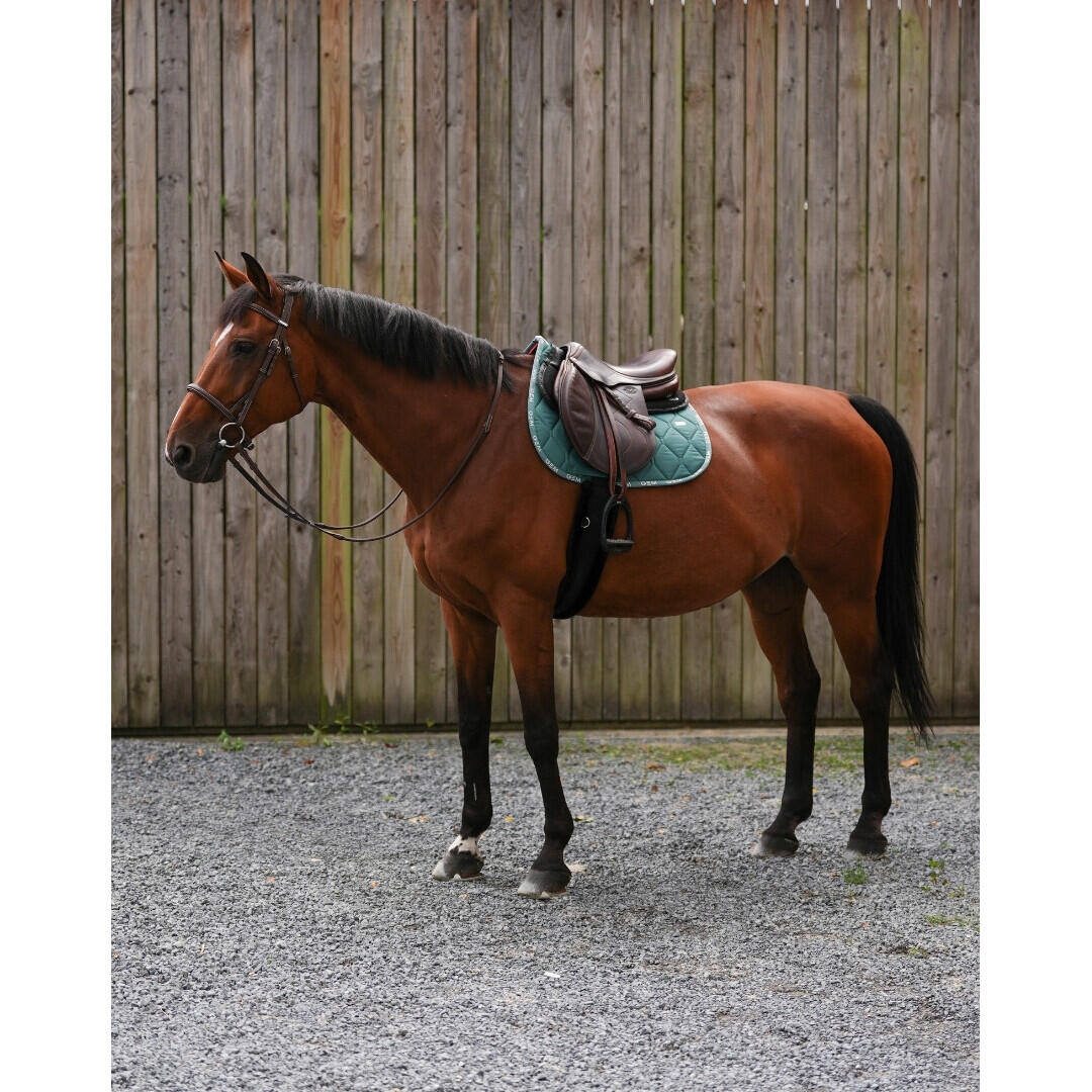 Tapis de selle LOVE Obstacle Bleu pacifique - GEM 5/7