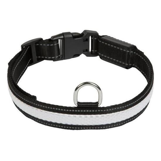 Collier pour chien lumineux Eyenimal RGB