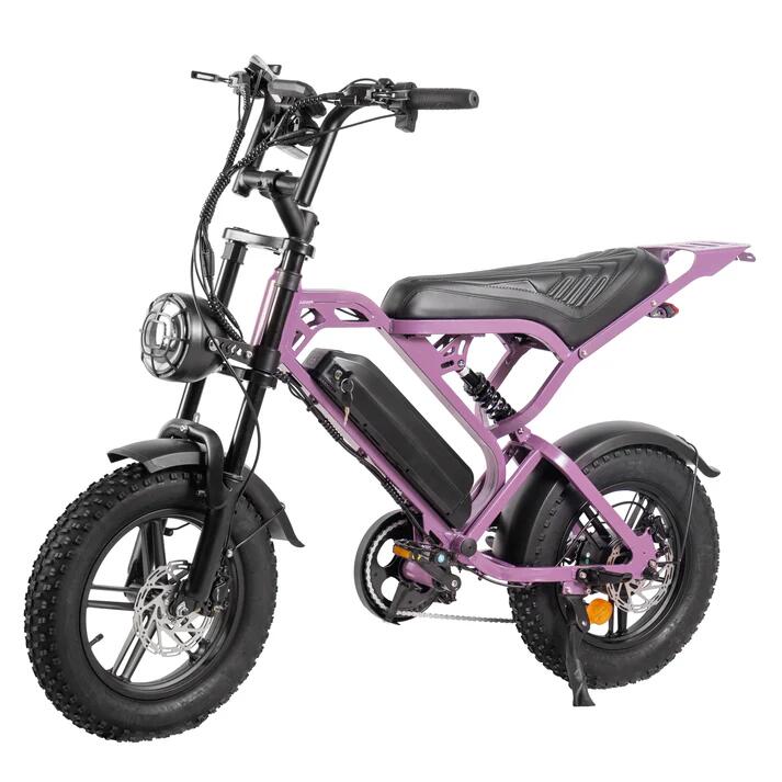 V20 pro mini E-bike, 250Watt motorvermogen, topsnelheid 25 km/u 2/7