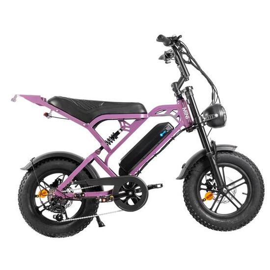 V20 pro mini E-bike, 250Watt motorvermogen, topsnelheid 25 km/u