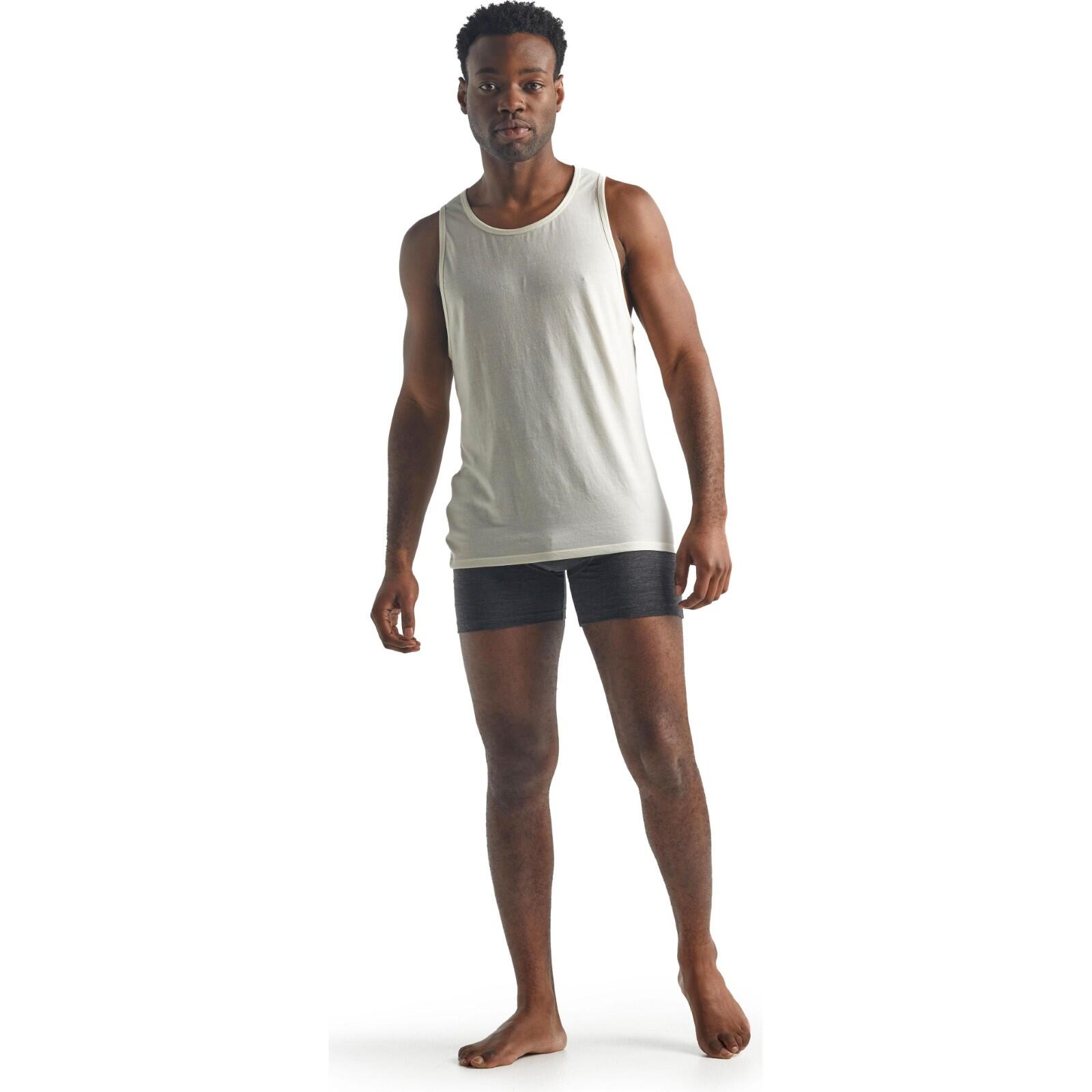 Icebreaker Anatomica Boxer Shorts-Jet Heather 6/7
