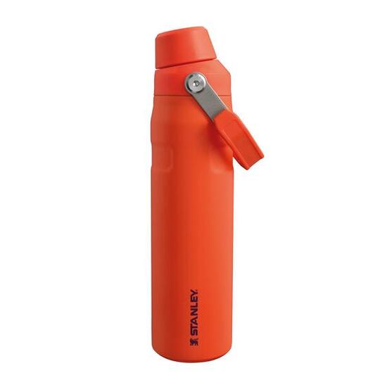 Bouteille D'Eau Isotherme ICEFLOW™ FAST FLOW 0,6L - Trek - Fitness - Thermos