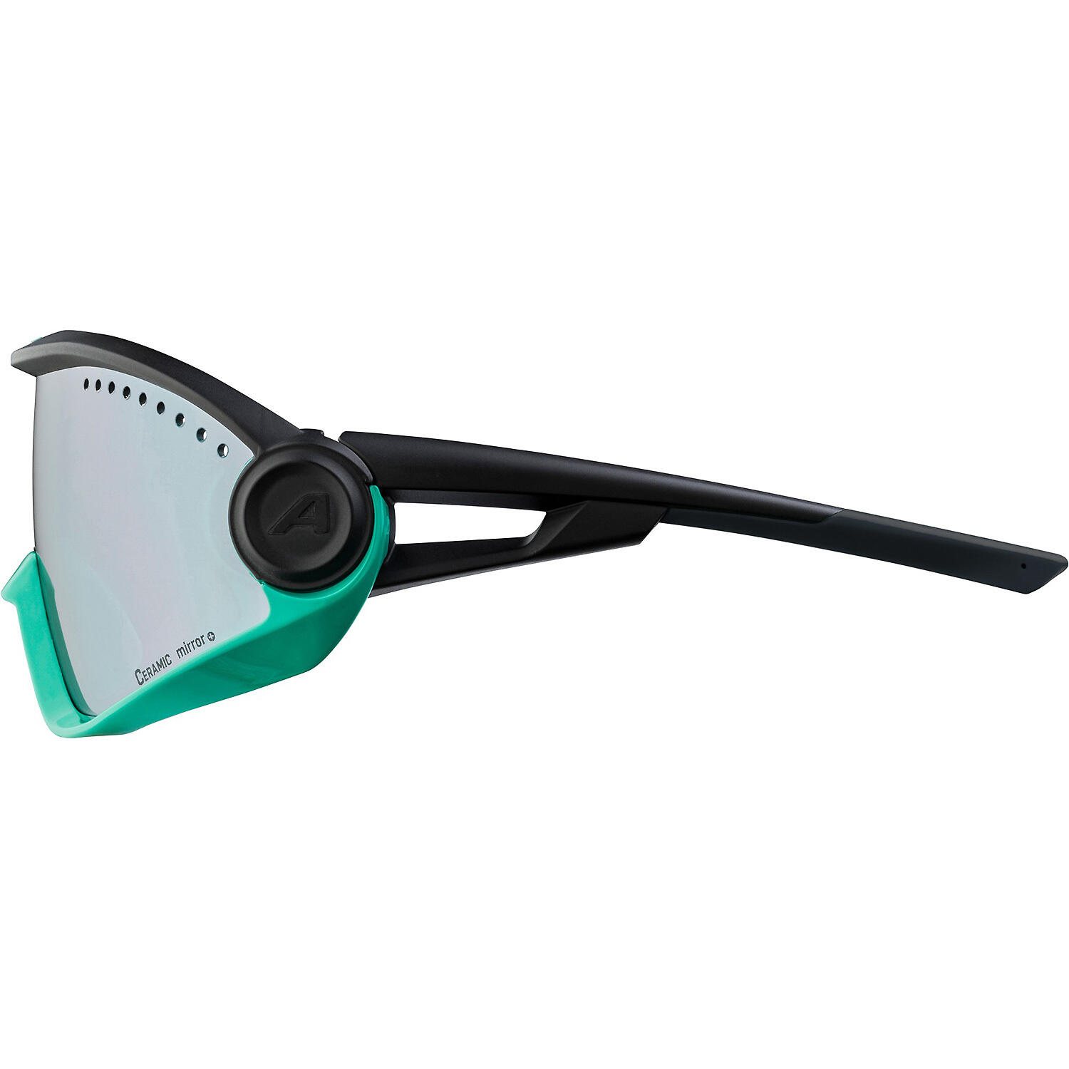 ALPINA Lunettes de soleil 5W1NG, turquoise/noir 4/4
