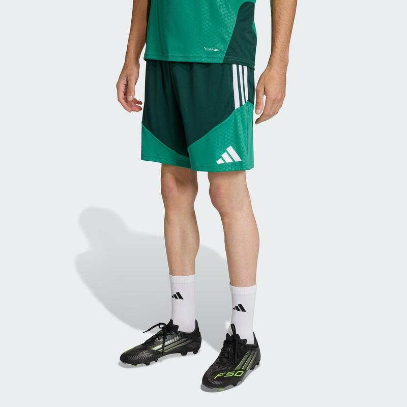 Pantaloni scurți de antrenament Algeria 26