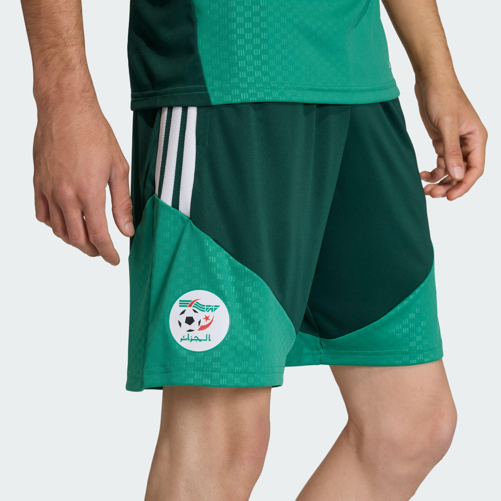 Short d'entraînement Algérie 26 4/6