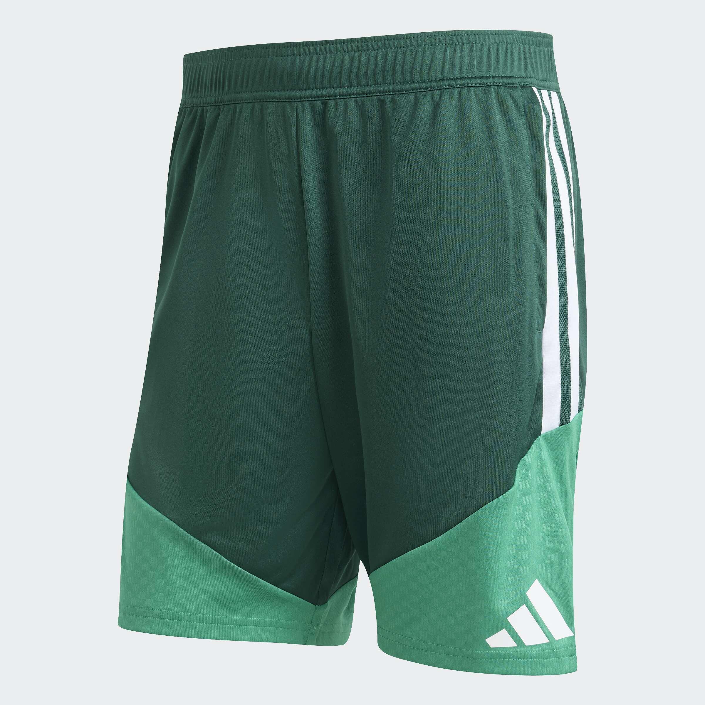 Short d'entraînement Algérie 26 6/6
