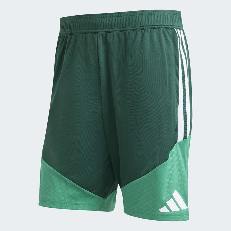Pantaloni scurți de antrenament Algeria 26