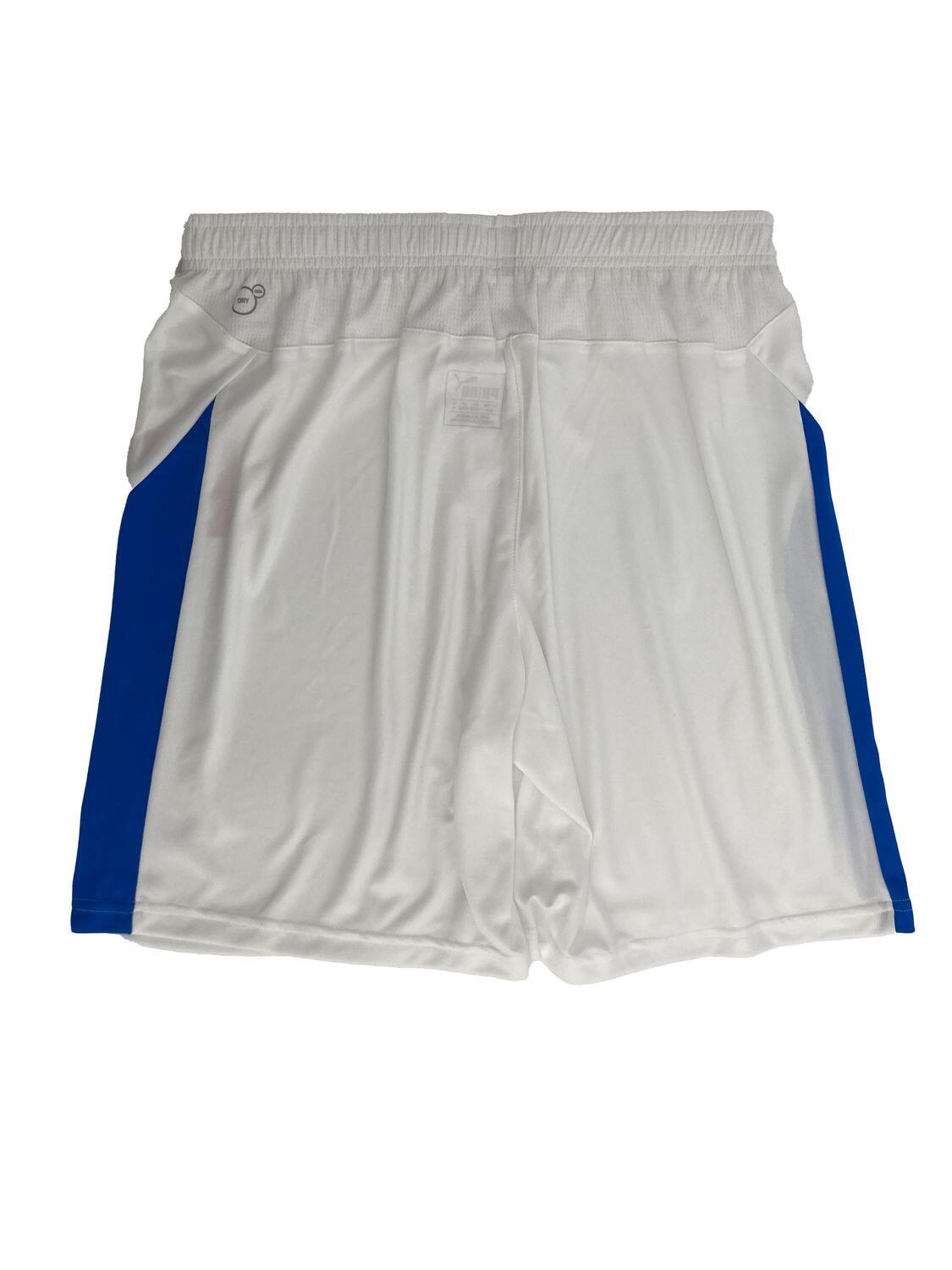 Puma liga shorts 2/3