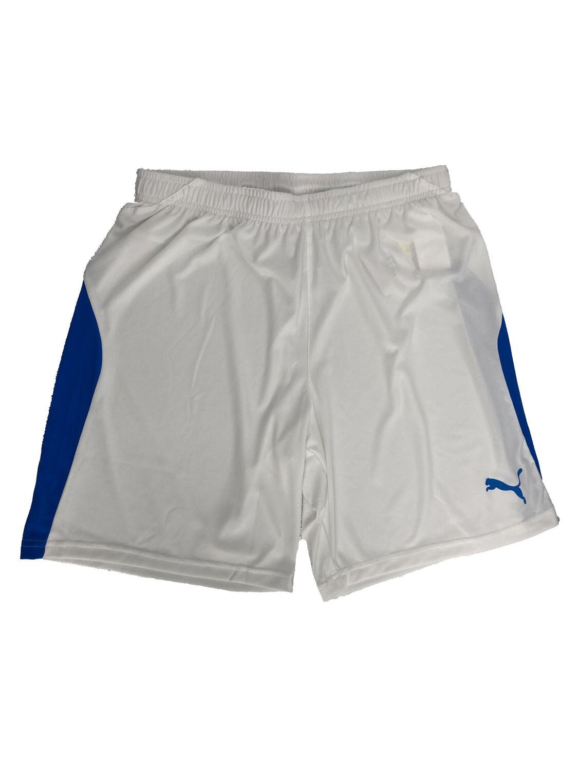 PUMA Puma liga shorts