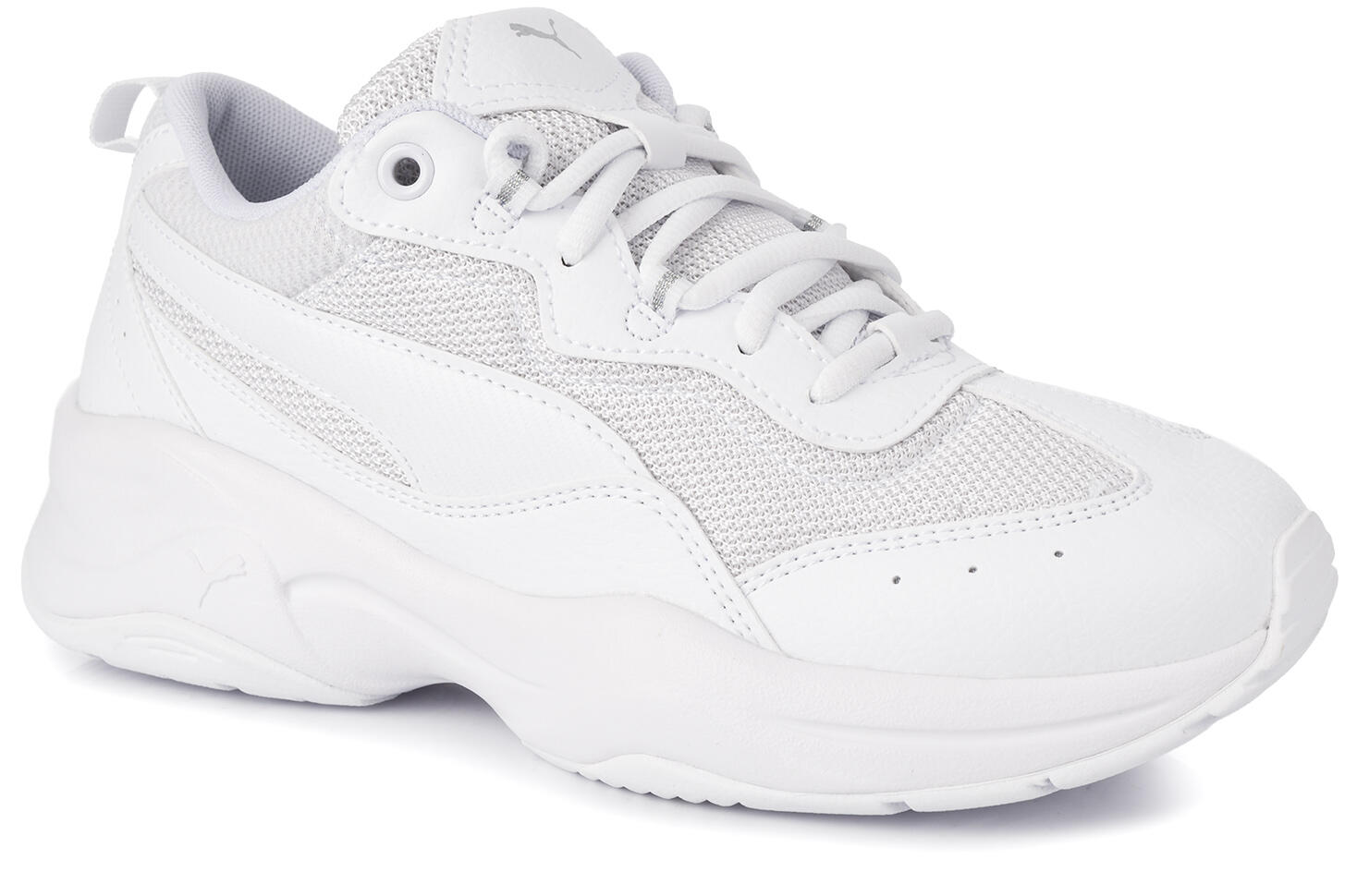 PUMA picture