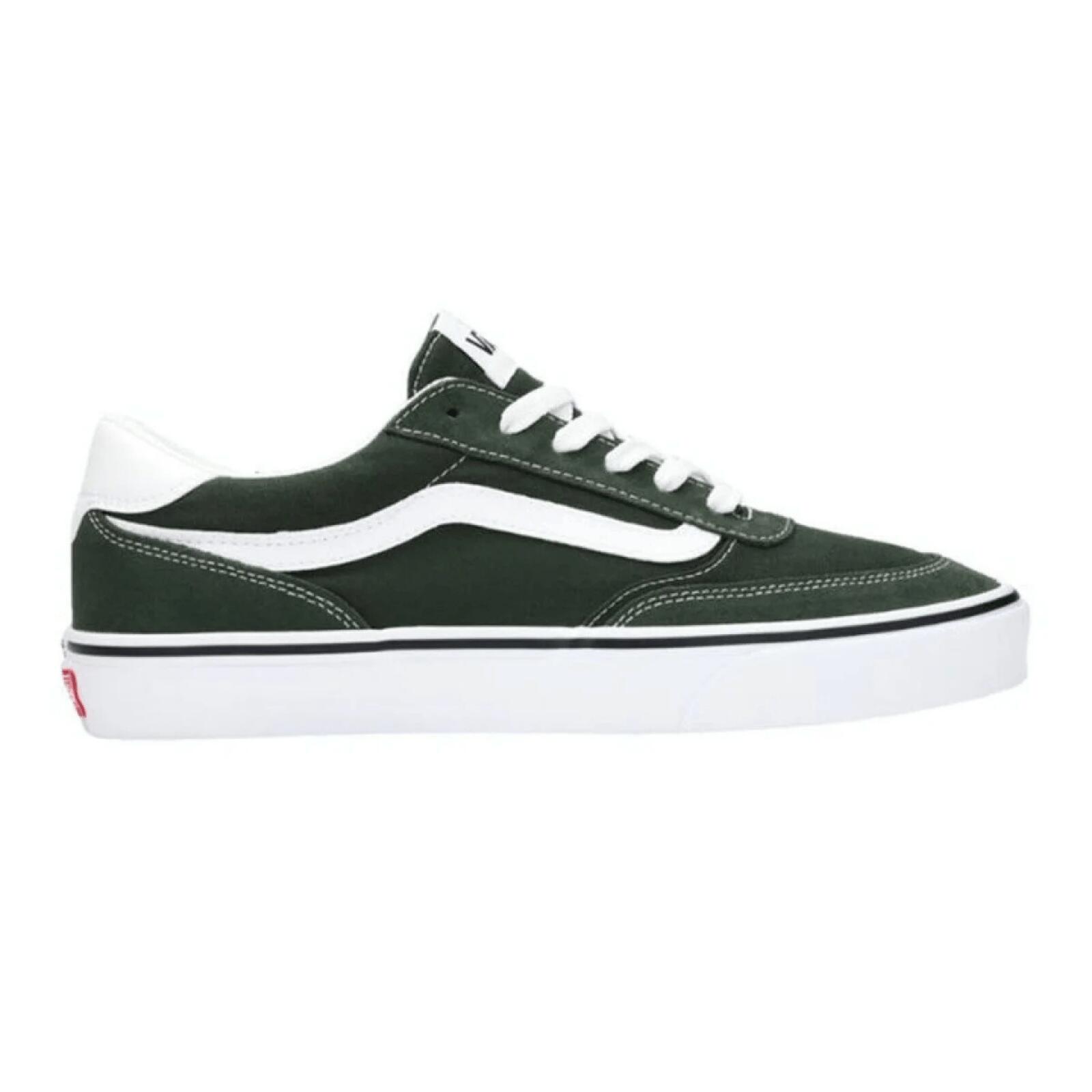 VANS picture