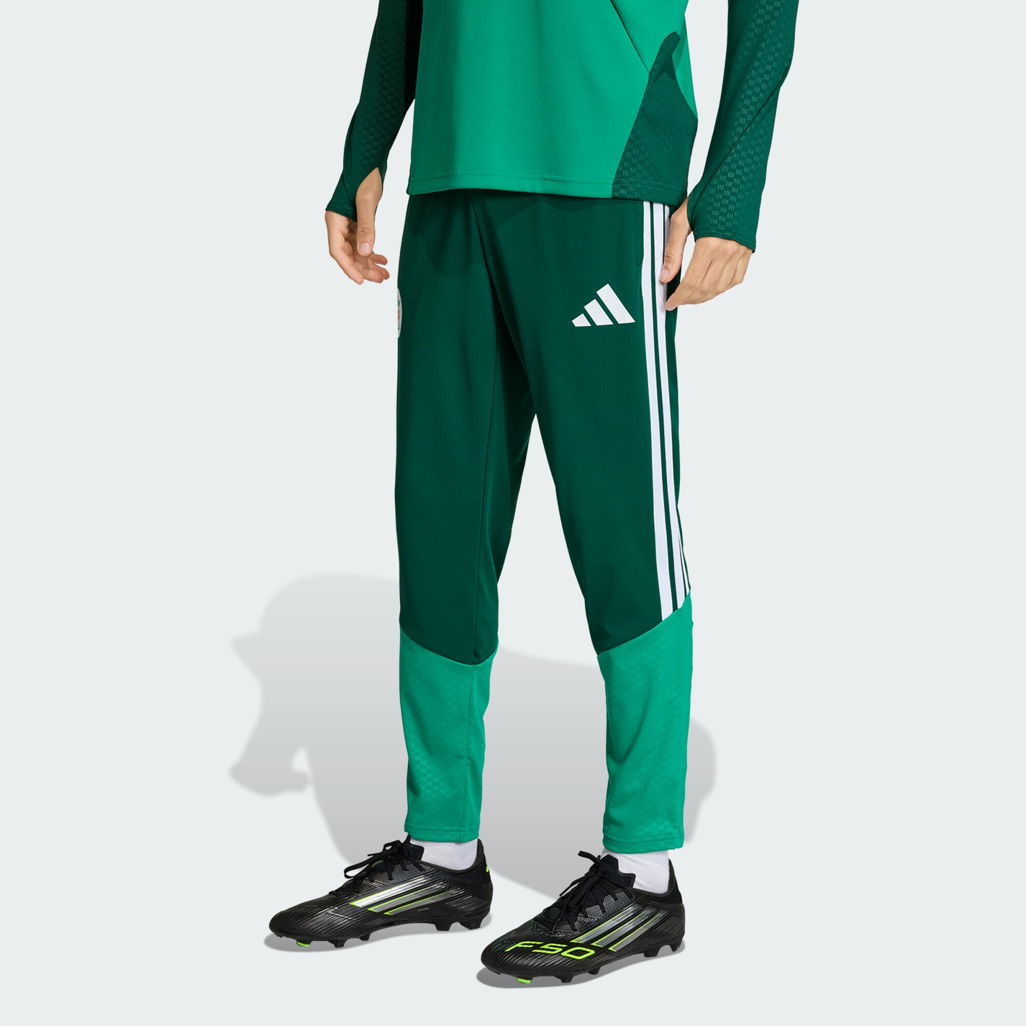 ADIDAS Pantaloni da allenamento Algeria 26