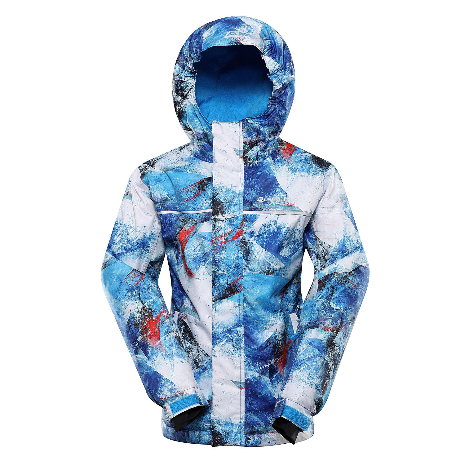 ALPINE PRO picture
