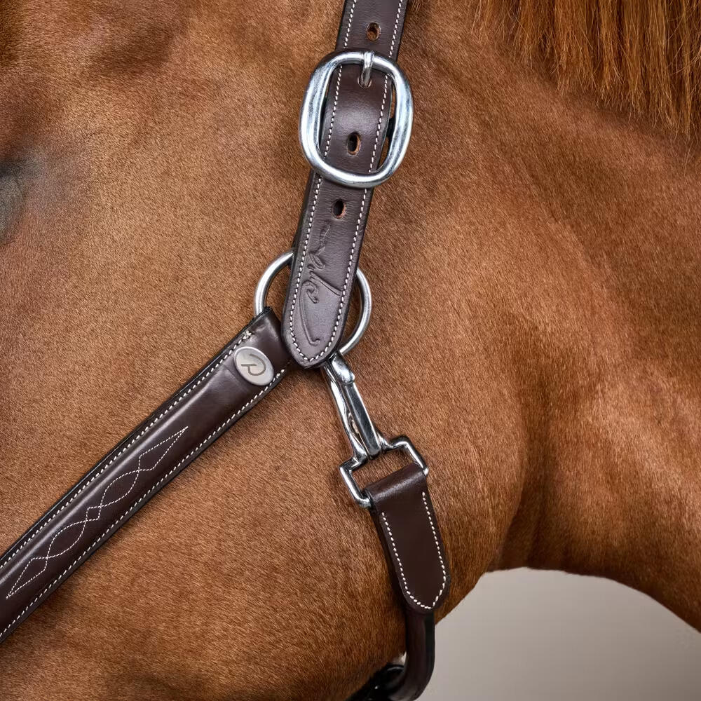 Cabestro de cuero para caballos Dy'on Fancy Working Collection 4/4